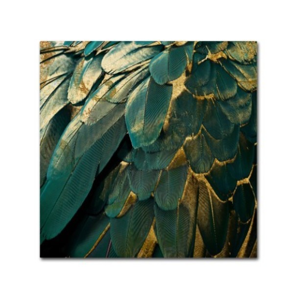 Trademark Fine Art Color Bakery 'Feather Glitter' Canvas Art, 18x18 ALI4956-C1818GG